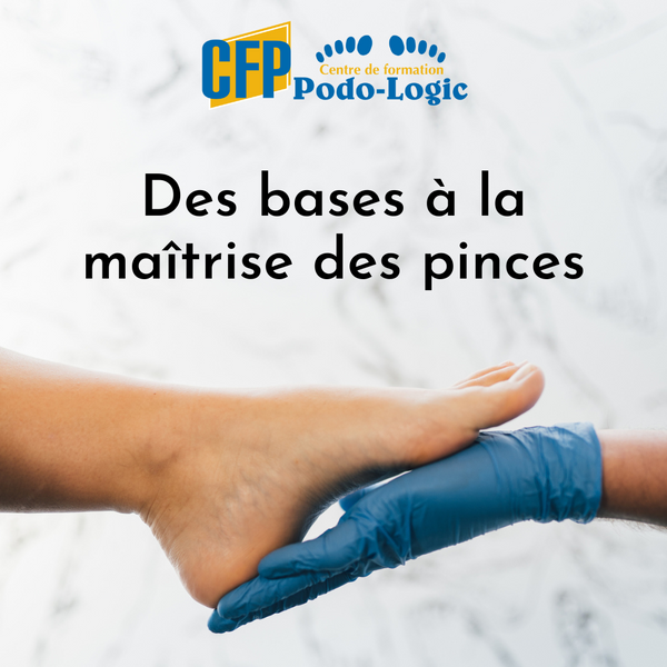 Des bases à la maîtrise des pinces